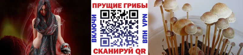 Псилоцибиновые грибы Psilocybe  гидра сайт  Брюховецкая 